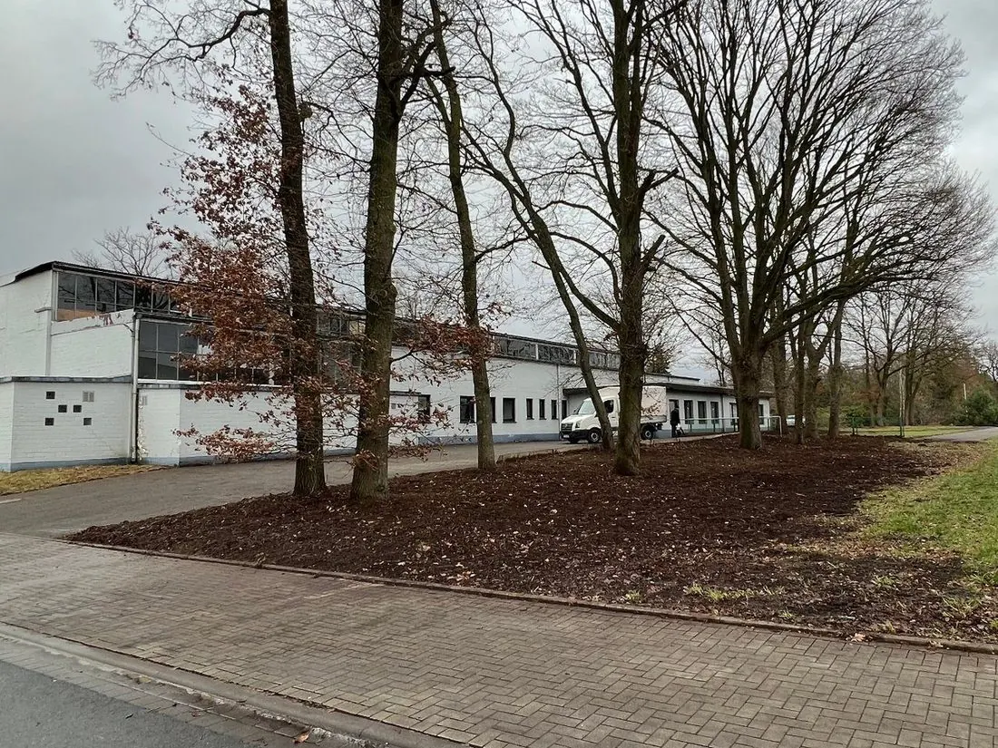 Gepflegtes Betriebsgelände mit Mulchflächen und Baumbestand
